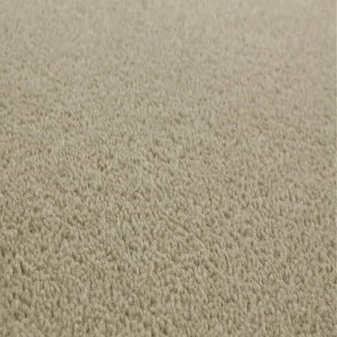Neutral Beige carpet swatch